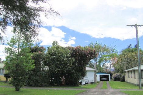 Photo of property in 12 Fitzgerald Avenue, Matamata, 3400