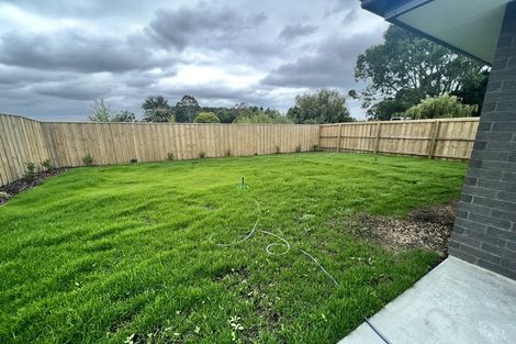 Photo of property in 55 Henshaw Street, Woodend, 7610