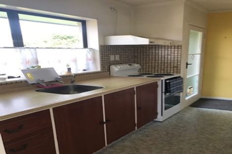 Photo of property in 56 Alison Street, Hamilton Lake, Hamilton, 3204