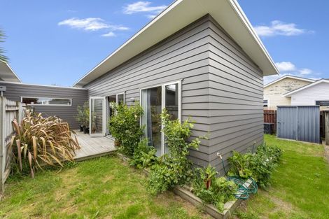 Photo of property in 6a Chelwood Street, Takaro, Palmerston North, 4412