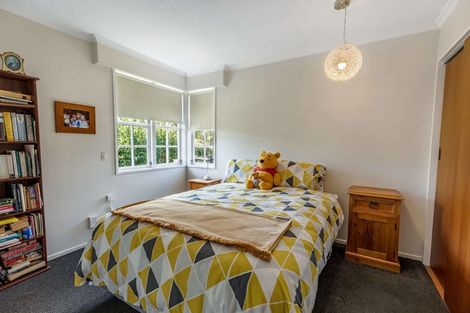 Photo of property in 44 Franklin Avenue, Hokowhitu, Palmerston North, 4410