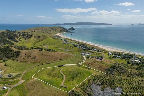 Photo of property in 838 Black Jack Road, Opito Bay, Whitianga, 3592