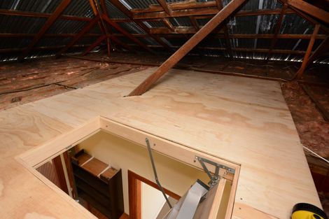 Photo of property in 24 Bridger Street, Maryhill, Dunedin, 9011