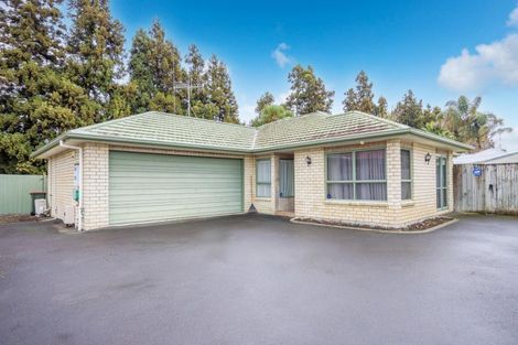 Photo of property in 12 Hastings Place, Hamilton Lake, Hamilton, 3204