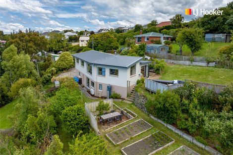 Photo of property in 5 Darnell Street, Andersons Bay, Dunedin, 9013