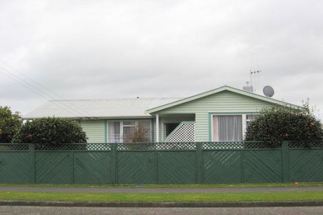 Photo of property in 51 Bristol Street, Levin, 5510