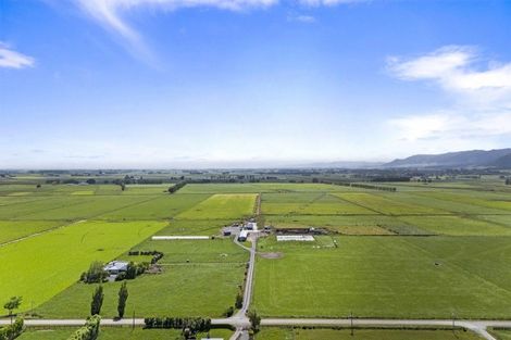 Photo of property in 145 Campbells Road, Pine Hill, Dunedin, 9010