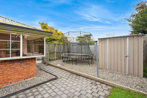 Photo of property in 33 Howorth Road, Fairfield, Dunedin, 9018