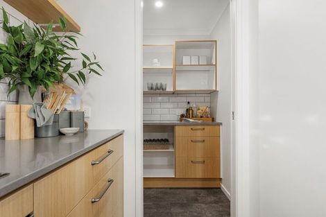 Photo of property in 217 Lakes Boulevard, Pyes Pa, Tauranga, 3112
