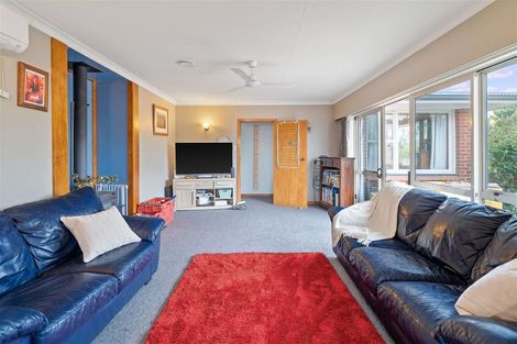 Photo of property in 43 Michael Street, Rakaia, 7710