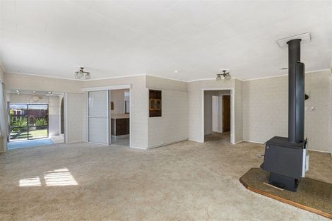 Photo of property in 63 Macarthur Street, Levin, 5510