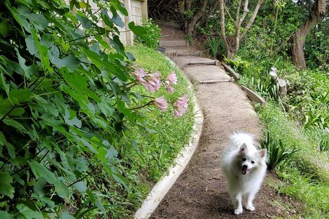 Photo of property in 74 Mana Esplanade, Paremata, Porirua, 5026