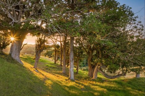 Photo of property in 48 Witheford Road, Wharehine, Wellsford, 0973