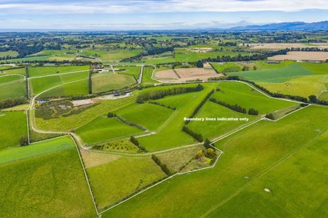 Photo of property in 234 Spur Road, Hadlow, Timaru, 7975