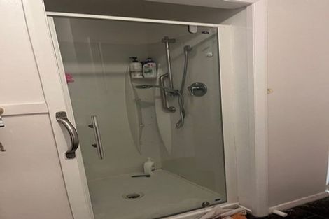 Photo of property in 158 Winchester Street, Levin, 5510