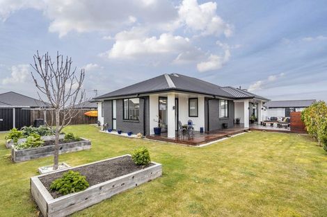 Photo of property in 4 Katipo Way, Pegasus, 7612