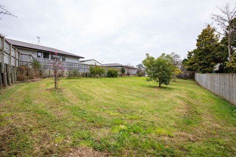 Photo of property in 39 Springfield Crescent, Enderley, Hamilton, 3214