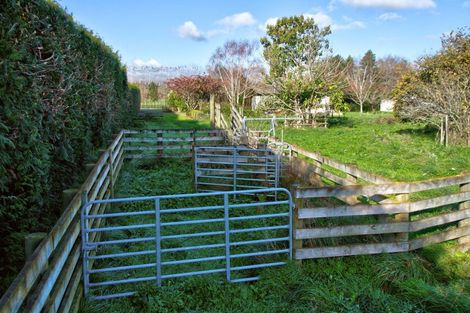 Photo of property in 38 Morris Road, Te Ore Ore, Masterton, 5886