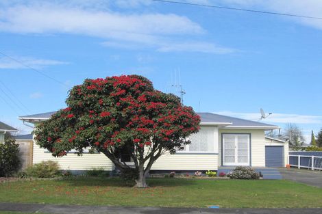 Photo of property in 18 Cornwall Street, Levin, 5510