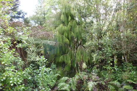 Photo of property in 6 Punga Grove, Lake Kaniere, Kokatahi, 7881