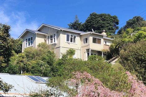 Photo of property in 19 Priscilla Crescent, Mornington, Wellington, 6021