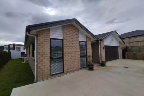 Photo of property in 149 Harriet Johnston Drive, Pokeno, 2402