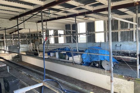 Photo of property in 406 Opunake Road, Cardiff, Stratford, 4391