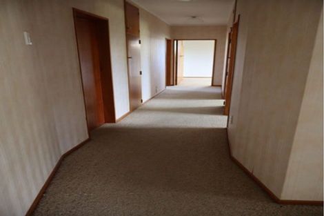 Photo of property in 3 Massey Street, Greytown, 5712