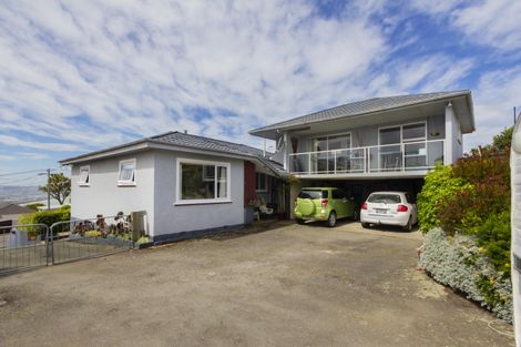 Photo of property in 21 Tamar Street, South Hill, Oamaru, 9400