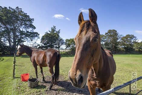 Photo of property in 2246 State Highway 16, Helensville, 0875