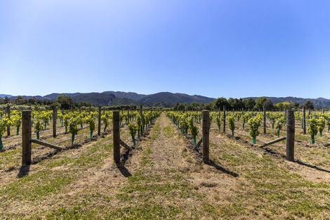 Photo of property in 90 Jeffries Road, Rapaura, Blenheim, 7273