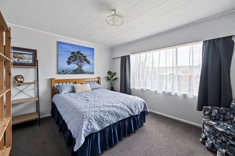 Photo of property in 39 Leicester Avenue, Tamatea, Napier, 4112