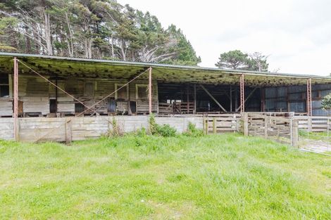 Photo of property in 79a Range Road, Pongaroa, 4990