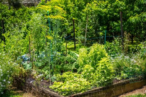 Photo of property in 303 Puketotara Road, Waipapa, Kerikeri, 0295