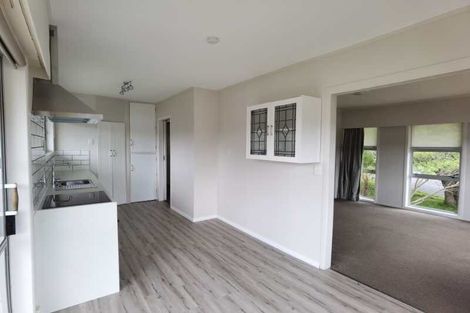 Photo of property in 43 Mayfair Crescent, Mairangi Bay, Auckland, 0630