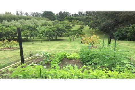 Photo of property in 303 Puketotara Road, Waipapa, Kerikeri, 0295