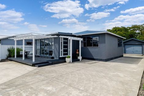 Photo of property in 486 Tremaine Avenue, Takaro, Palmerston North, 4410