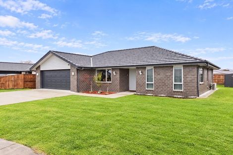 Photo of property in 11 Bostonkip Crescent, Fitzroy, Hamilton, 3206