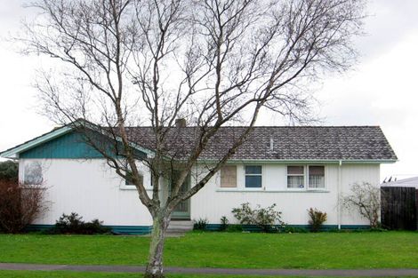 Photo of property in 24 Dampier Avenue, Awapuni, Palmerston North, 4412