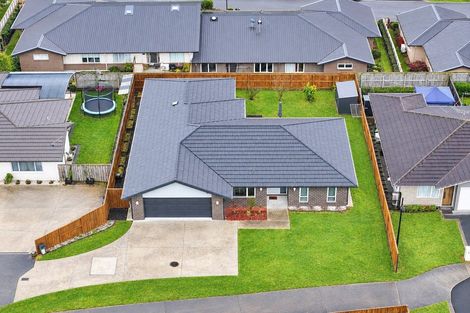 Photo of property in 11 Bostonkip Crescent, Fitzroy, Hamilton, 3206