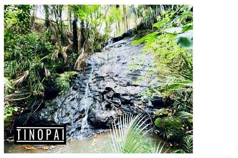 Photo of property in 1509 Tinopai Road, Tinopai, Matakohe, 0593