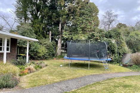 Photo of property in 5 Hector Place, Sunnybrook, Rotorua, 3015