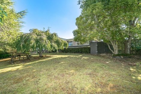 Photo of property in 100 Storey Avenue, Forest Lake, Hamilton, 3200