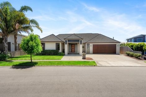 Photo of property in 58 Merlot Drive, Greenmeadows, Napier, 4112