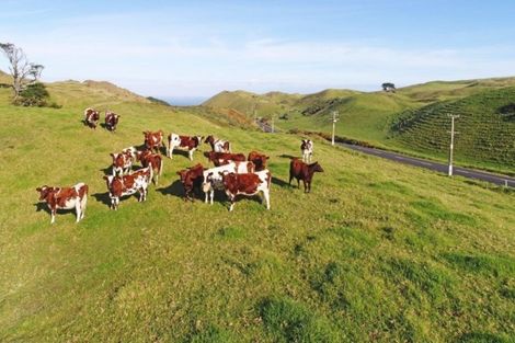 Photo of property in 569 Karioitahi Road, Lake Puketi, Waiuku, 2683