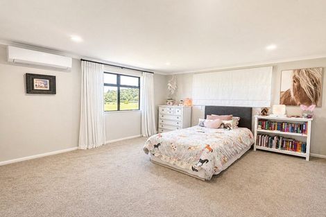 Photo of property in 20 Eastside Drive, Pukekohe, 2120