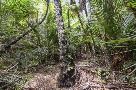 Photo of property in 950 Matakana Valley Road, Whangaripo, Wellsford, 0972