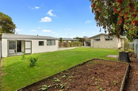 Photo of property in 19 Sherwood Drive, Pukete, Hamilton, 3200