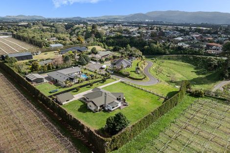 Photo of property in 57b Fairview Place, Te Puke, 3119