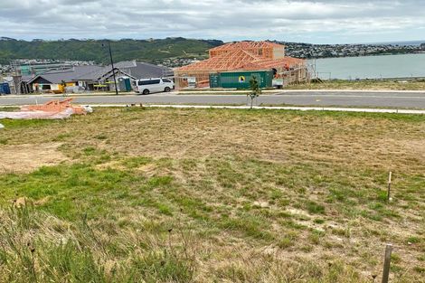 Photo of property in 55 Ken Douglas Drive, Aotea, Porirua, 5024